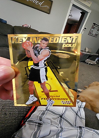 1997-98 Fleer Key Ingredient Gold #12 David Robinson — front