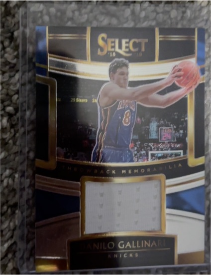 2018-19 Panini Select Throwback Memorabilia #TM-DGL Danilo Gallinari — front