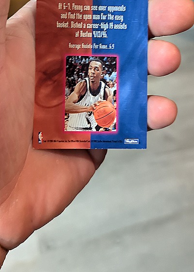 1995-96 NBA Hoops #394 Anfernee Hardaway — back