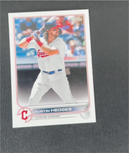 2022 Topps #65 Austin Hedges — front