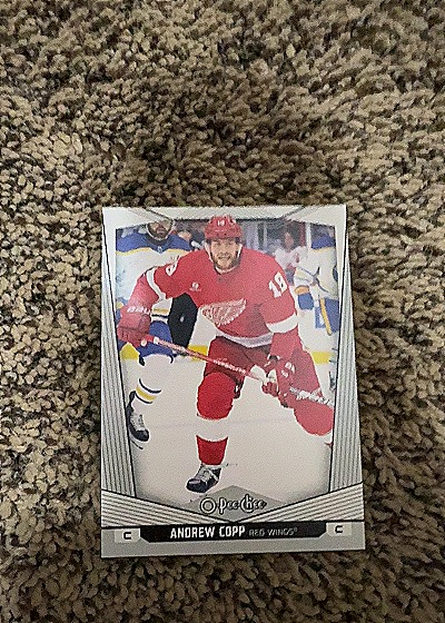 Andrew Copp Red Wings — front