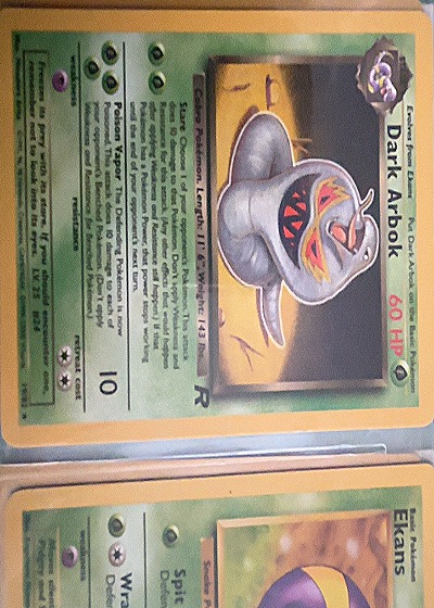 Dark Arbok — front