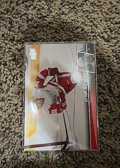 2004-05 Upper Deck Dominik Hasek — front