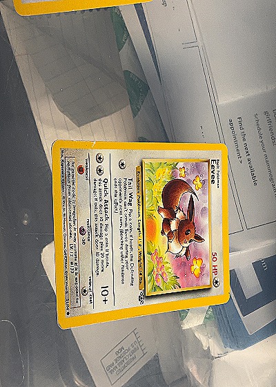Eevee Jungle — front