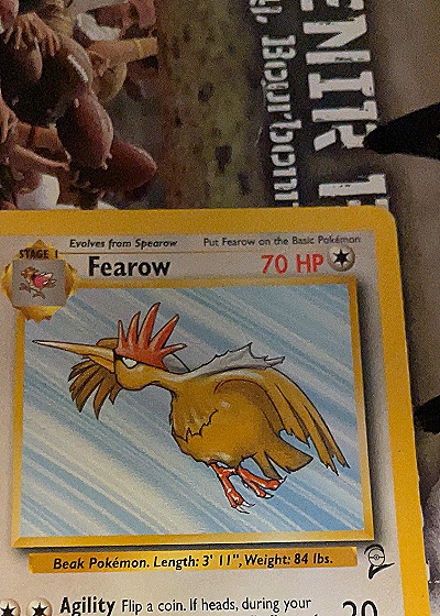 Fearow Jungle — front