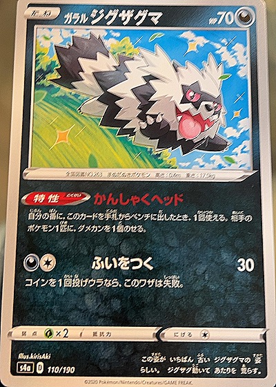 Galarian Zigzagoon — front