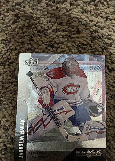 2009 Upper Deck #N/A Jaroslav Halak — front