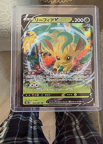 Leafeon V — front