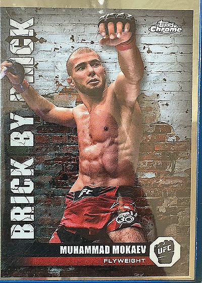Muhammad Mokaev Brick By Brick — front
