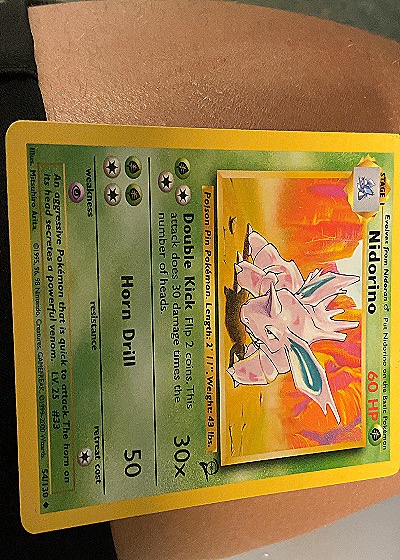 Nidorino Base Set — front