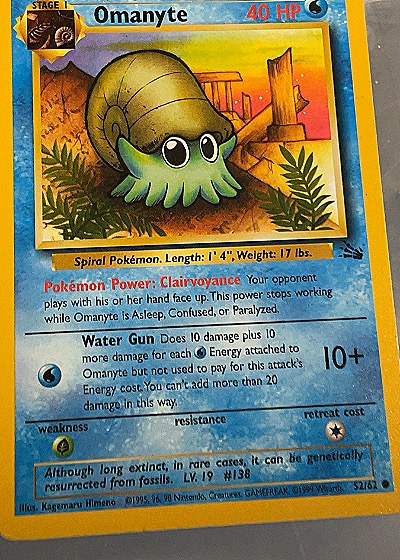 Omanyte - Fossil — front