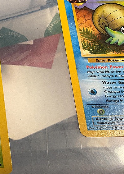 Omanyte Fossil — front