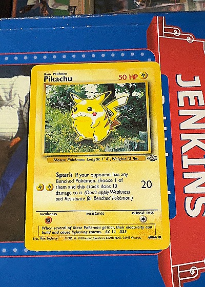 Pikachu Jungle Set — front