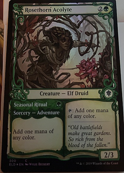 Rosethorn Acolyte // Seasonal Ritual — front