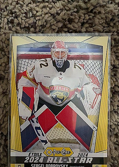 2024 O-Pee-Chee #513 Sergei Bobrovsky — front