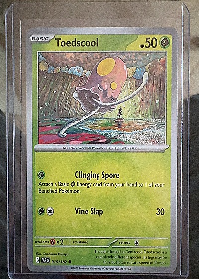 Toedscool - Paradox Rift — front