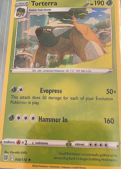 Torterra - Brilliant Stars — front