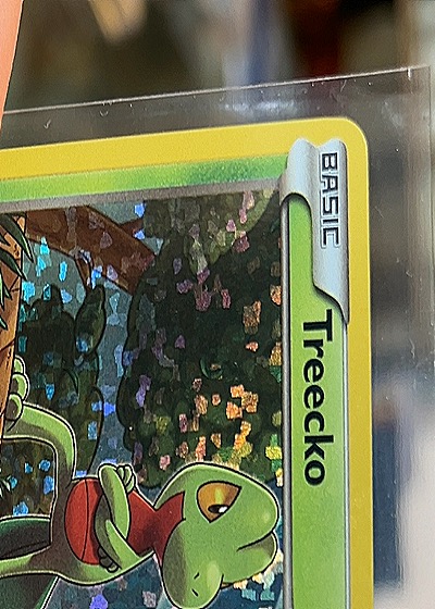 Treecko Basic — front