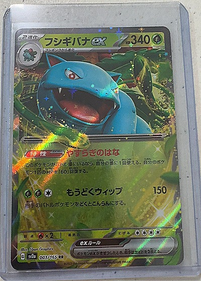 Venusaur ex — front