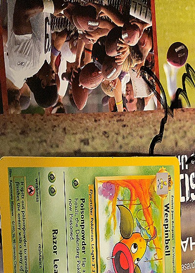 Weepinbell - Jungle Set — front