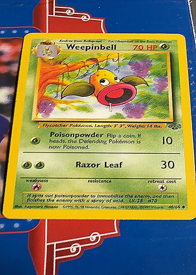 Weepinbell 48/64 Jungle — front