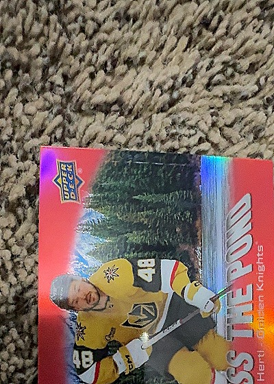 2021 Upper Deck #N/A William Karlsson — front