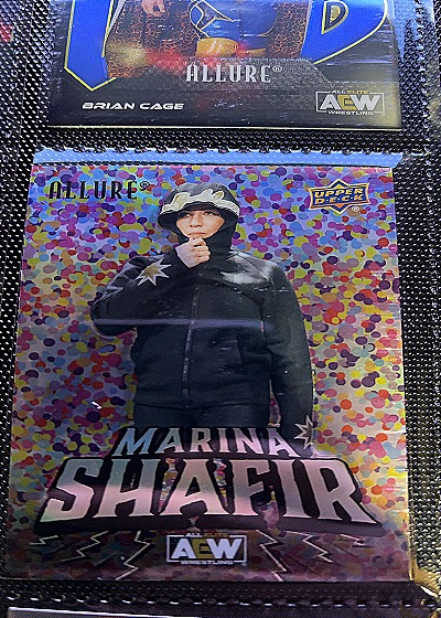2024 Upper Deck #N/A Marina Shafir — front
