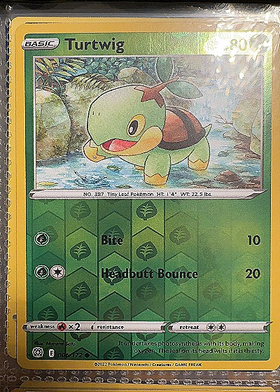 2022 Pokémon #006/172 Turtwig — front
