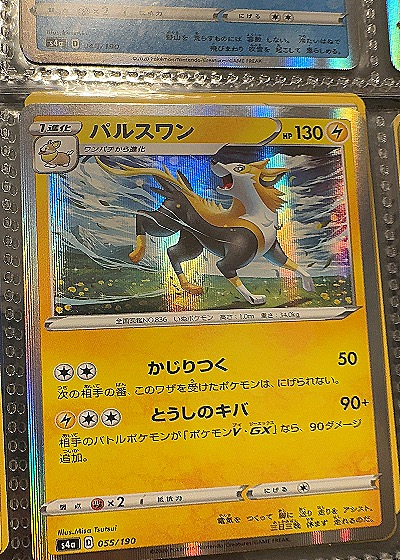 2020 Pokémon #055/190 Boltund — front