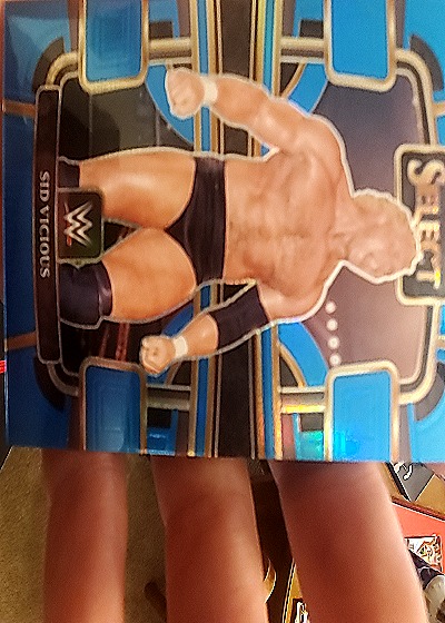 2024 Panini Select #N/A Sid Vicious — front