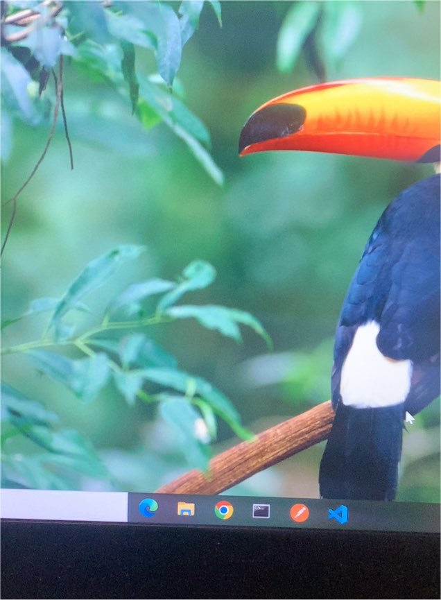 Photo 6x4 Toucan at Birdworld Holt Pound c2009 — front