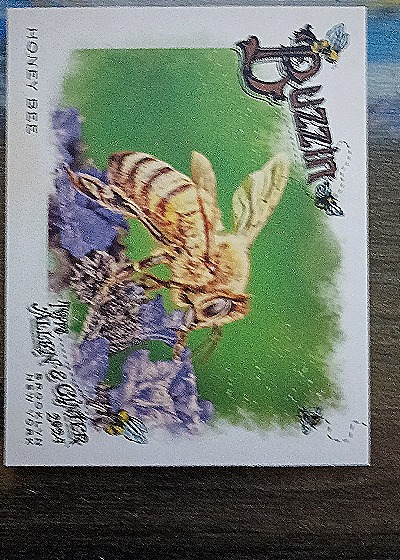 2024 Topps Allen & Ginter #BUZ-2 Honey Bee Buzzin' — front