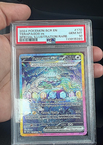 2024 Pokémon TCG Stellar Crown #170 Terapagos ex — front