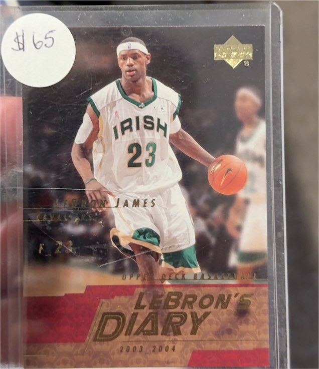 2003-04 Upper Deck LeBron's Diary #LJ1 LeBron James — front