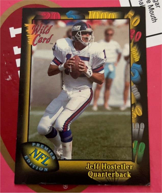 1991 Wild Card #141 Jeff Hostetler — front