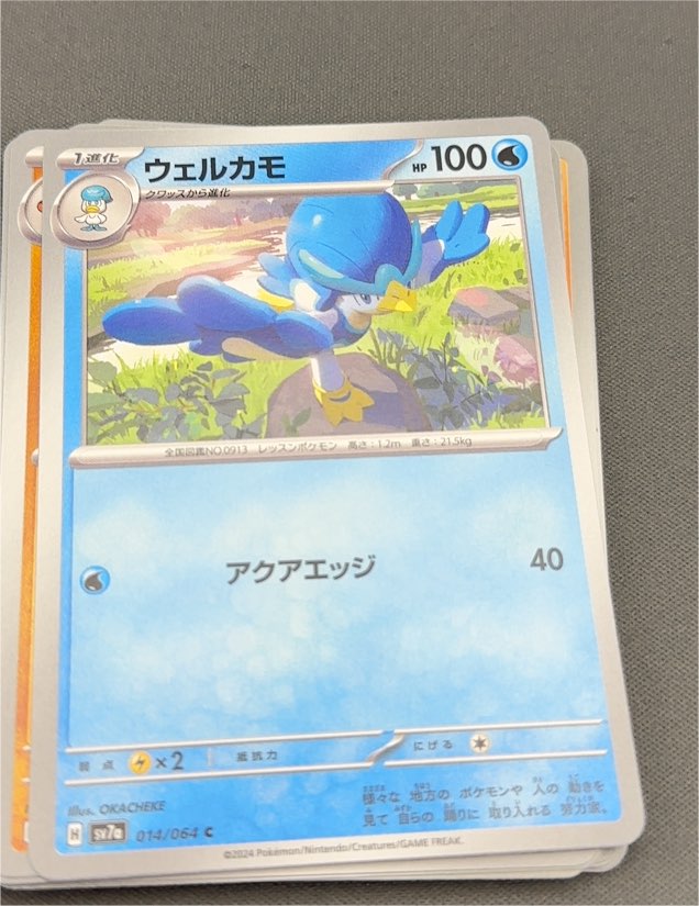 2024 Pokémon Scarlet & Violet SV7a #014 Quaxwell — front