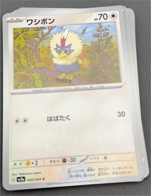 2024 Pokémon #049 Rufflet — front