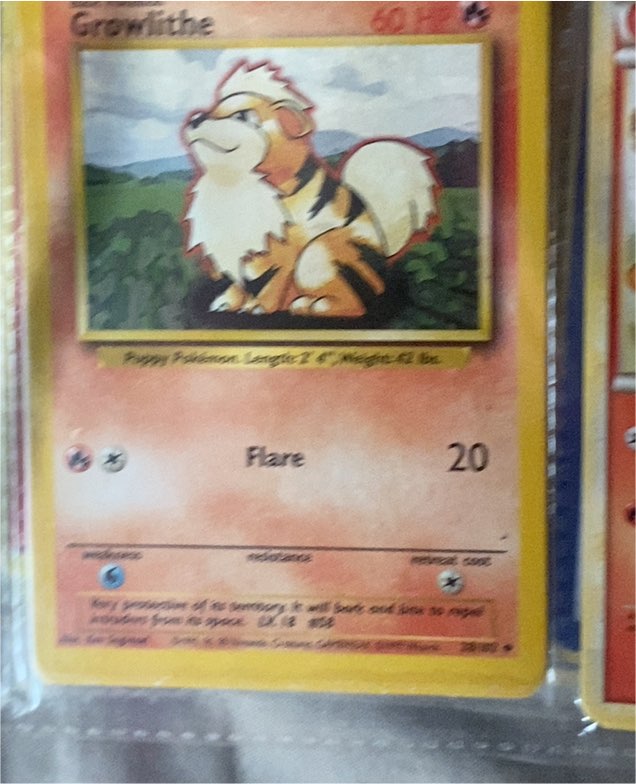 1999 Pokémon Base Set #28 Growlithe — front