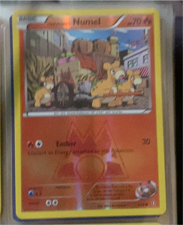 2015 Pokémon XY Double Crisis #1 Team Magma's Numel — front