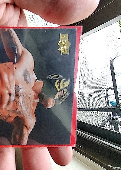 2001 Upper Deck WWE #BD13 Rey Mysterio — front
