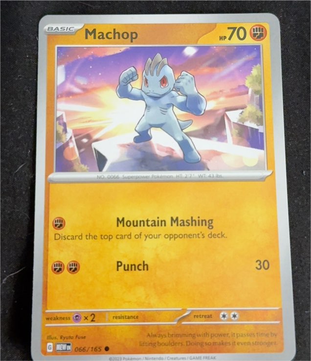 2023 Pokémon Scarlet & Violet 151 #066 Machop — front