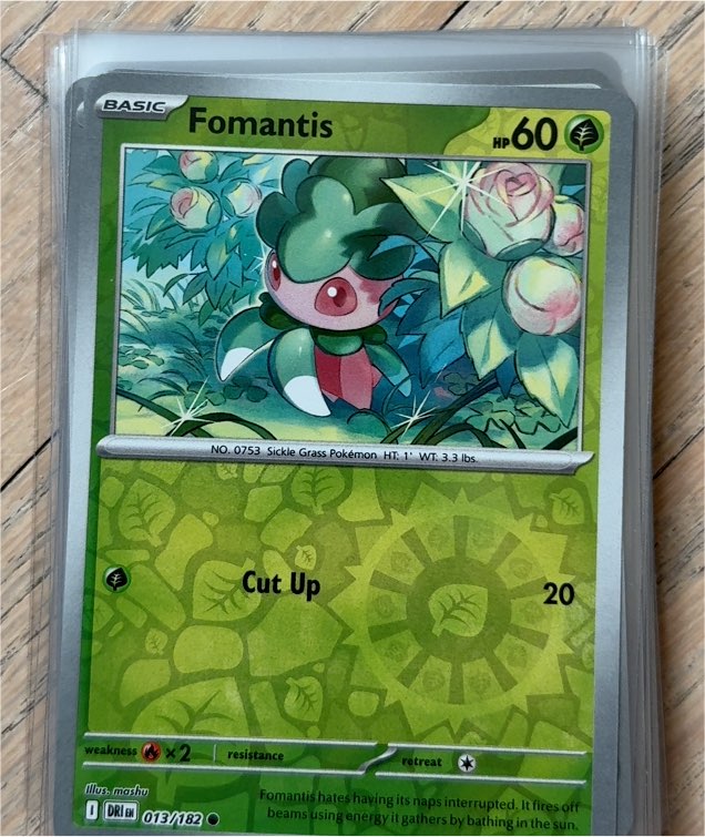 2025 Pokémon #013 Fomantis — front