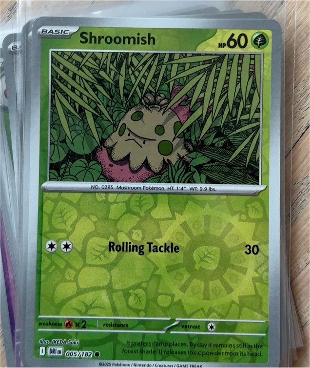 2025 Pokémon TCG Destined Rivals #005 Shroomish — front