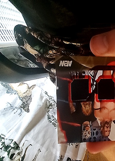 2025 Upper Deck AEW Foundational Outlook #FO-17 Dustin Rhodes — front