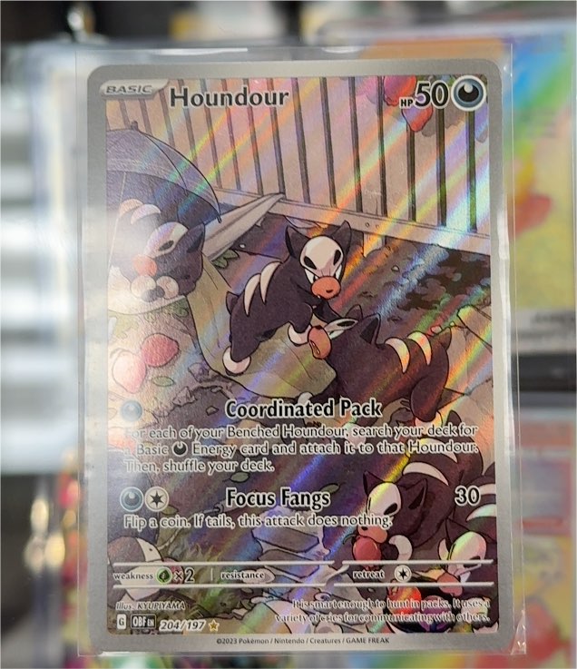 2023 Pokémon SV03 Obsidian Flames #204 Houndour Illustration Rare — front