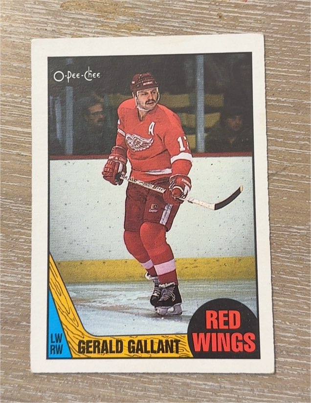 1987-88 O-Pee-Chee #67 Gerald Gallant — front