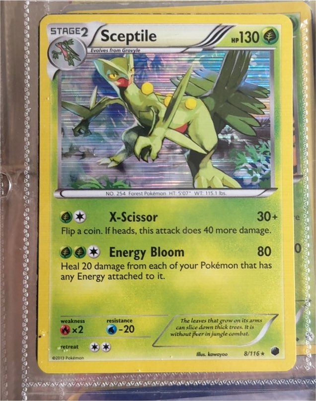 2013 Pokémon Black & White Plasma Freeze #8 Sceptile — front