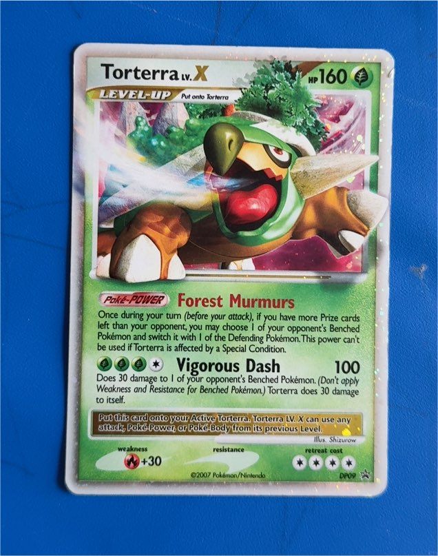 2007 Pokémon Diamond & Pearl Black Star Promo #DP09 Torterra LV.X — front