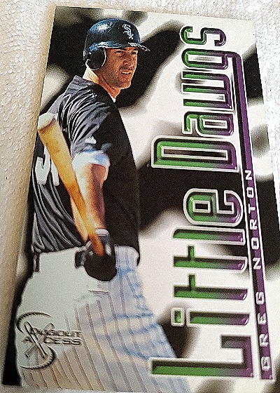 1998 SkyBox Dugout Axcess #115 Greg Norton — front
