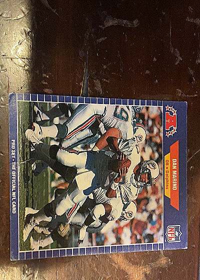 1989 Pro Set #220 Dan Marino — front